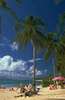 加勒比海风光图片图库