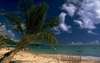加勒比海风光图片图库