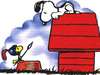 史努比(Snoopy)图片图库