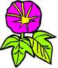 植物花卉微标图片图库