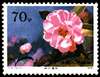 花卉邮票图片图库
