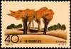 沙漠邮票图片图库