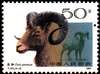 羊年邮票图片图库