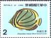 鱼虾邮票图片图库