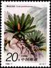 植物邮票图片图库